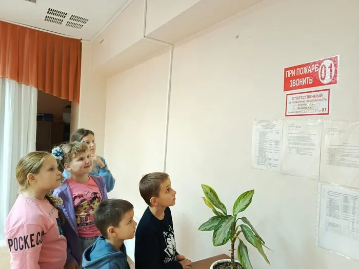 Изображение-WhatsApp-2025-10-11-в-16.15.15_cbaf3acb